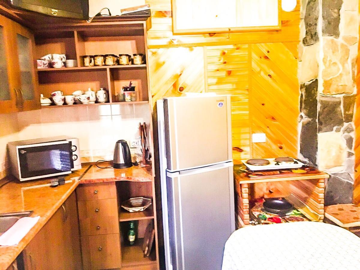 U Yaremyna Villa Микуличин Екстериор снимка